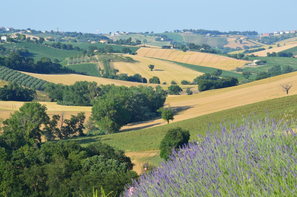 Vila Agriturismo Tenuta Belvedere Belvedere Ostrense Exteriér fotografie